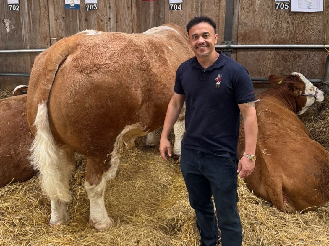owner of casa rodizio york with some cows at the great yorkshire show